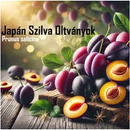 Japán szilvák - Prunus salicina