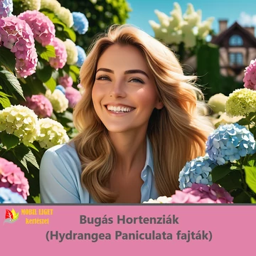 Bugás Hortenzia - Hydrangea Paniculata fajták Bugás Hortenzia - Hydrangea Paniculata fajták