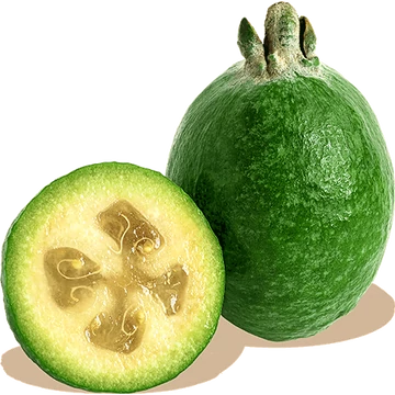 AnanászGuava - Acca sellowiana