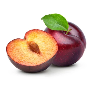 Angeleno®japán szilva - konténeres facsemete