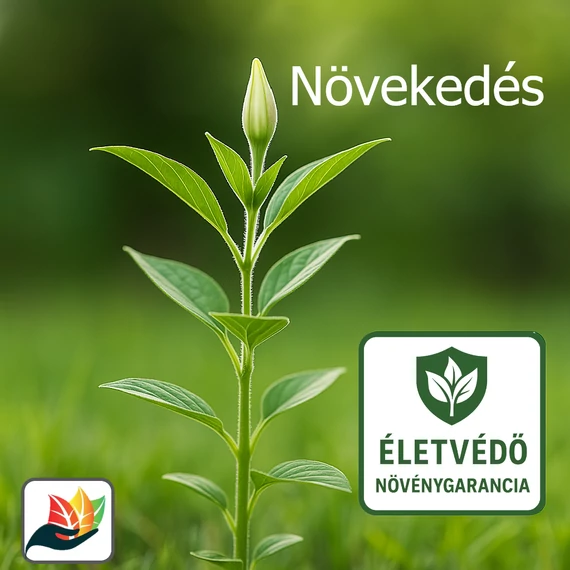Életvédő Növénygarancia – Növekedés (6 hónap)